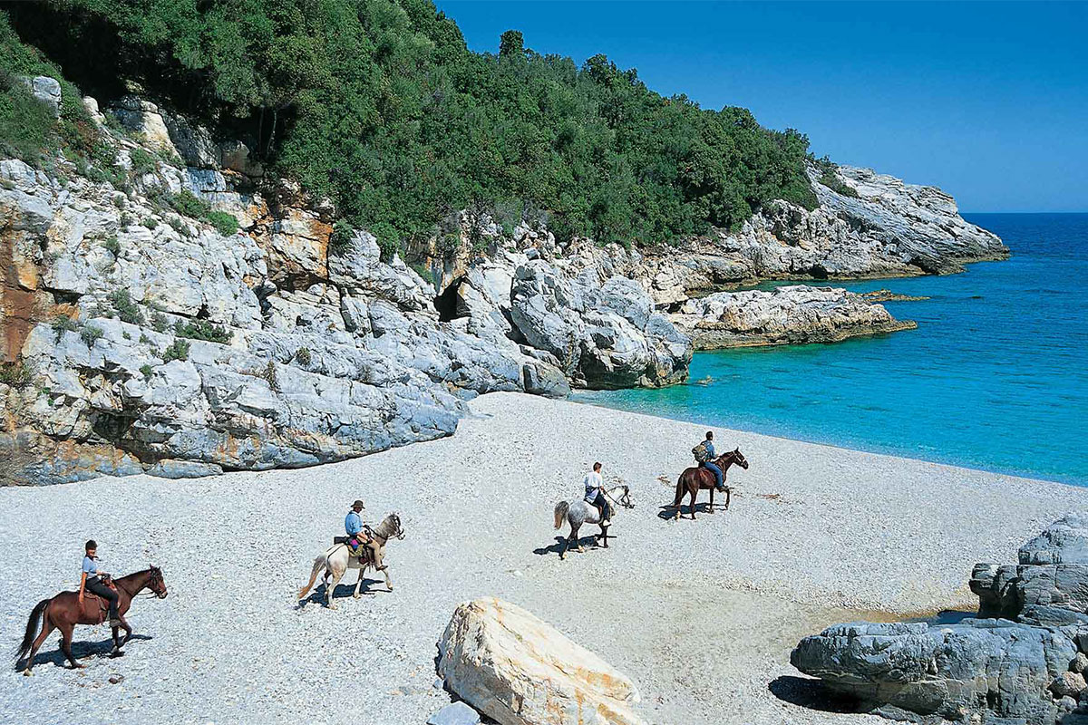 Aggelika Guesthouse - Δραστηριότητες Horse Riding
